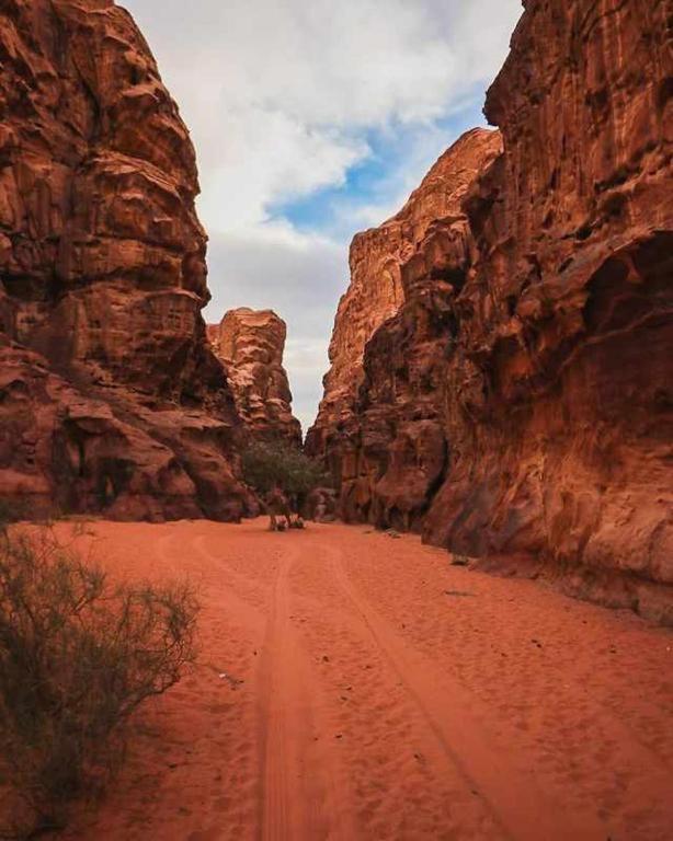 Wadi Rum Desert Heart Camp Exterior photo
